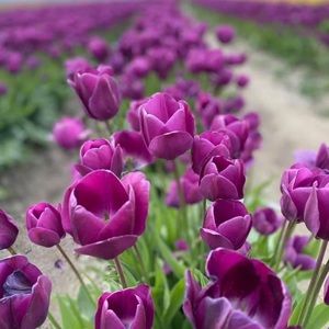 Meet your Posher, Madyson